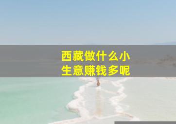 西藏做什么小生意赚钱多呢