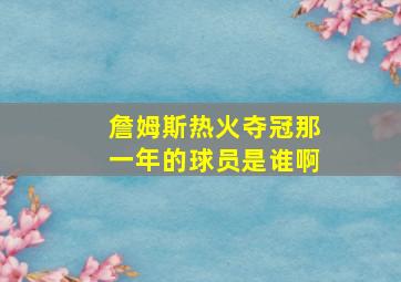 詹姆斯热火夺冠那一年的球员是谁啊