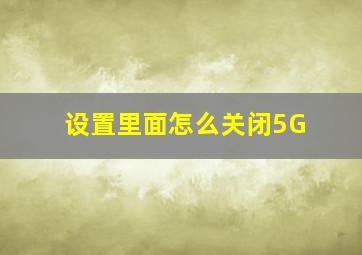 设置里面怎么关闭5G