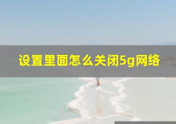 设置里面怎么关闭5g网络