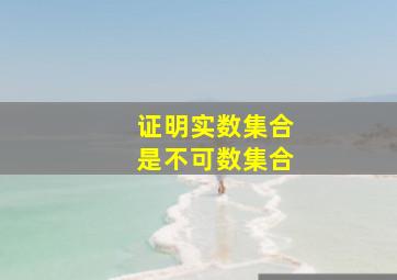 证明实数集合是不可数集合