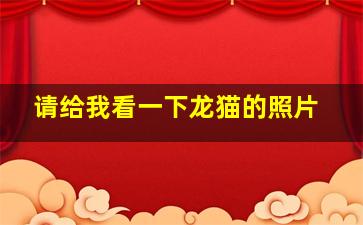 请给我看一下龙猫的照片