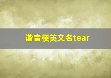 谐音梗英文名tear