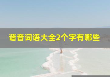 谐音词语大全2个字有哪些