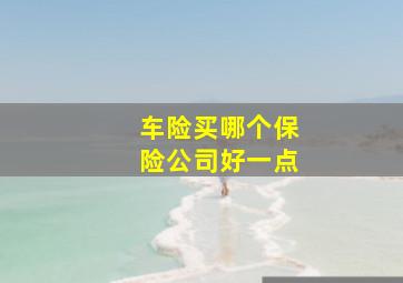 车险买哪个保险公司好一点