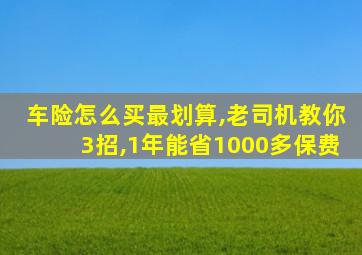 车险怎么买最划算,老司机教你3招,1年能省1000多保费