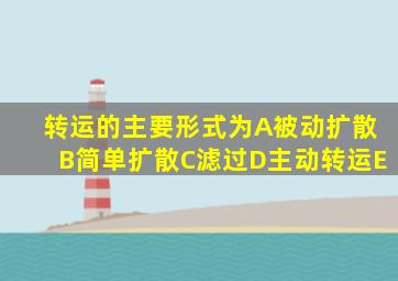 转运的主要形式为A被动扩散B简单扩散C滤过D主动转运E