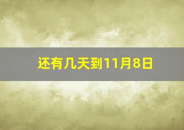 还有几天到11月8日