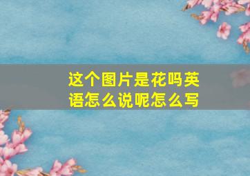 这个图片是花吗英语怎么说呢怎么写