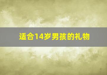 适合14岁男孩的礼物