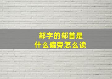 部字的部首是什么偏旁怎么读