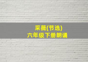 采薇(节选)六年级下册朗诵