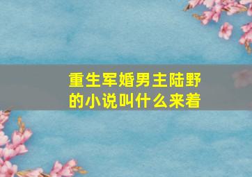 重生军婚男主陆野的小说叫什么来着