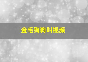 金毛狗狗叫视频