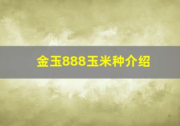 金玉888玉米种介绍