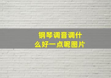 钢琴调音调什么好一点呢图片