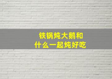 铁锅炖大鹅和什么一起炖好吃