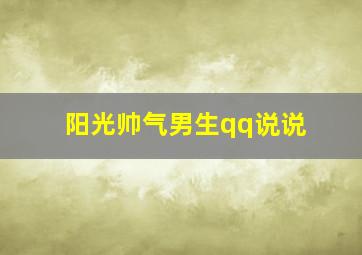 阳光帅气男生qq说说