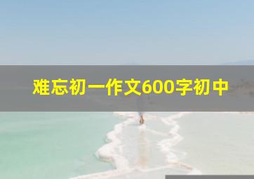 难忘初一作文600字初中