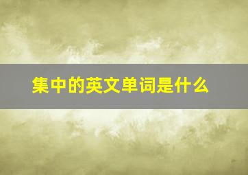 集中的英文单词是什么