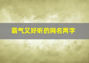 霸气又好听的网名两字