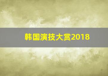 韩国演技大赏2018