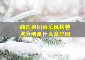 韩国男团音乐风格特点分别是什么意思啊