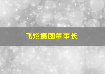 飞翔集团董事长