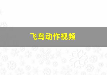 飞鸟动作视频