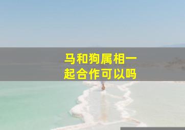 马和狗属相一起合作可以吗