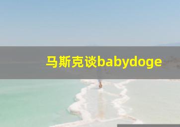 马斯克谈babydoge