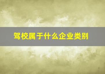 驾校属于什么企业类别