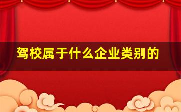 驾校属于什么企业类别的