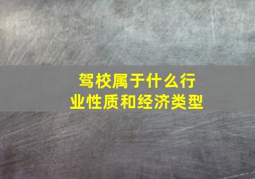 驾校属于什么行业性质和经济类型