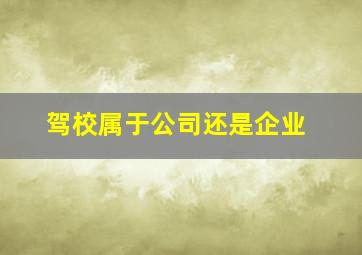 驾校属于公司还是企业