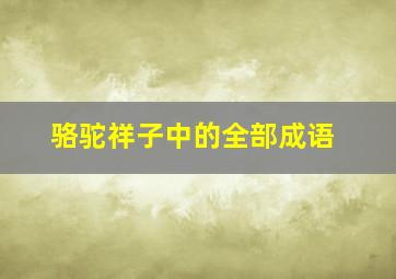 骆驼祥子中的全部成语