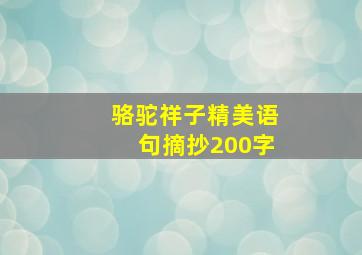 骆驼祥子精美语句摘抄200字