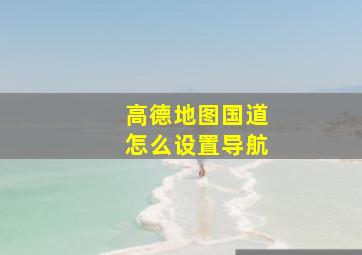 高德地图国道怎么设置导航