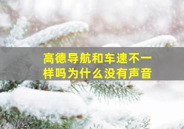 高德导航和车速不一样吗为什么没有声音