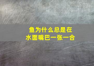 鱼为什么总是在水面嘴巴一张一合