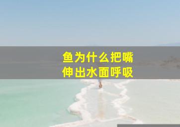 鱼为什么把嘴伸出水面呼吸