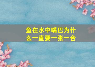 鱼在水中嘴巴为什么一直要一张一合