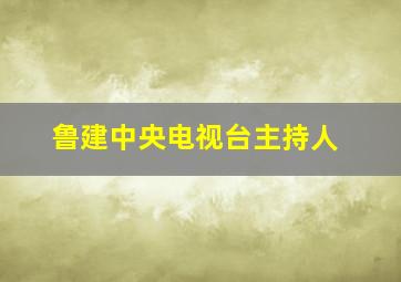 鲁建中央电视台主持人