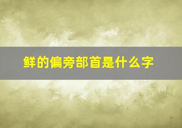 鲜的偏旁部首是什么字