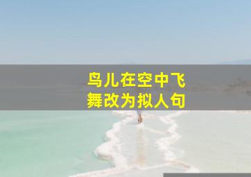 鸟儿在空中飞舞改为拟人句