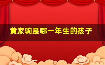 黄家驹是哪一年生的孩子