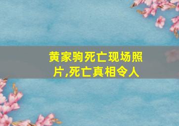 黄家驹死亡现场照片,死亡真相令人