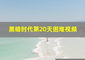 黑暗时代第20天困难视频