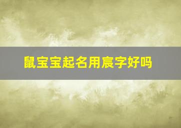 鼠宝宝起名用宸字好吗