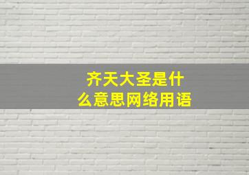 齐天大圣是什么意思网络用语